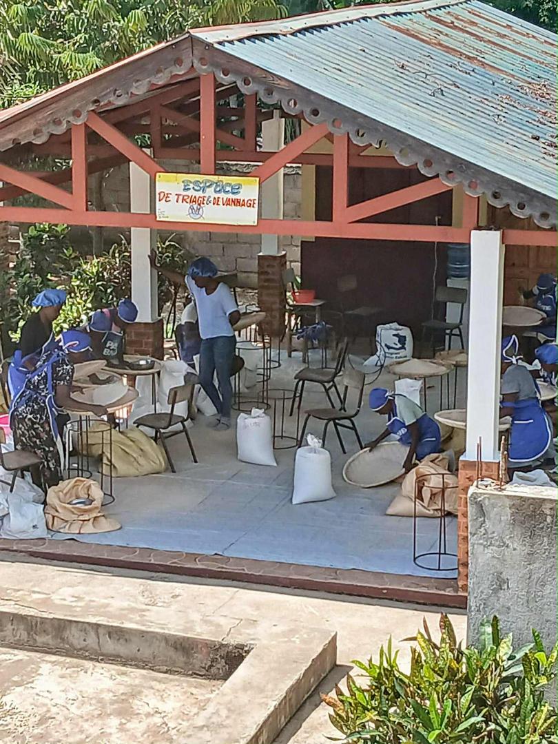 Panoramic view of Haitian coffee site