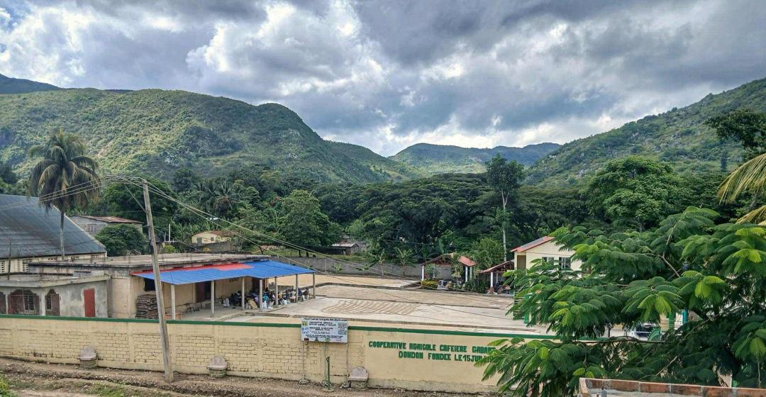 Sorting and washing area