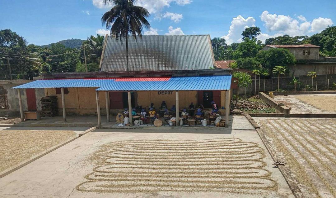 Coffee depot and drying grounds