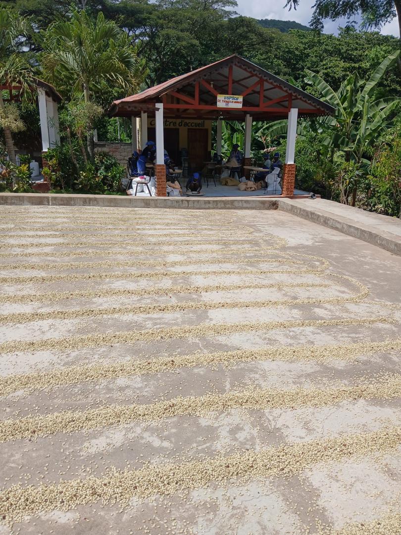 Coffee roasting machine and stacked sacks